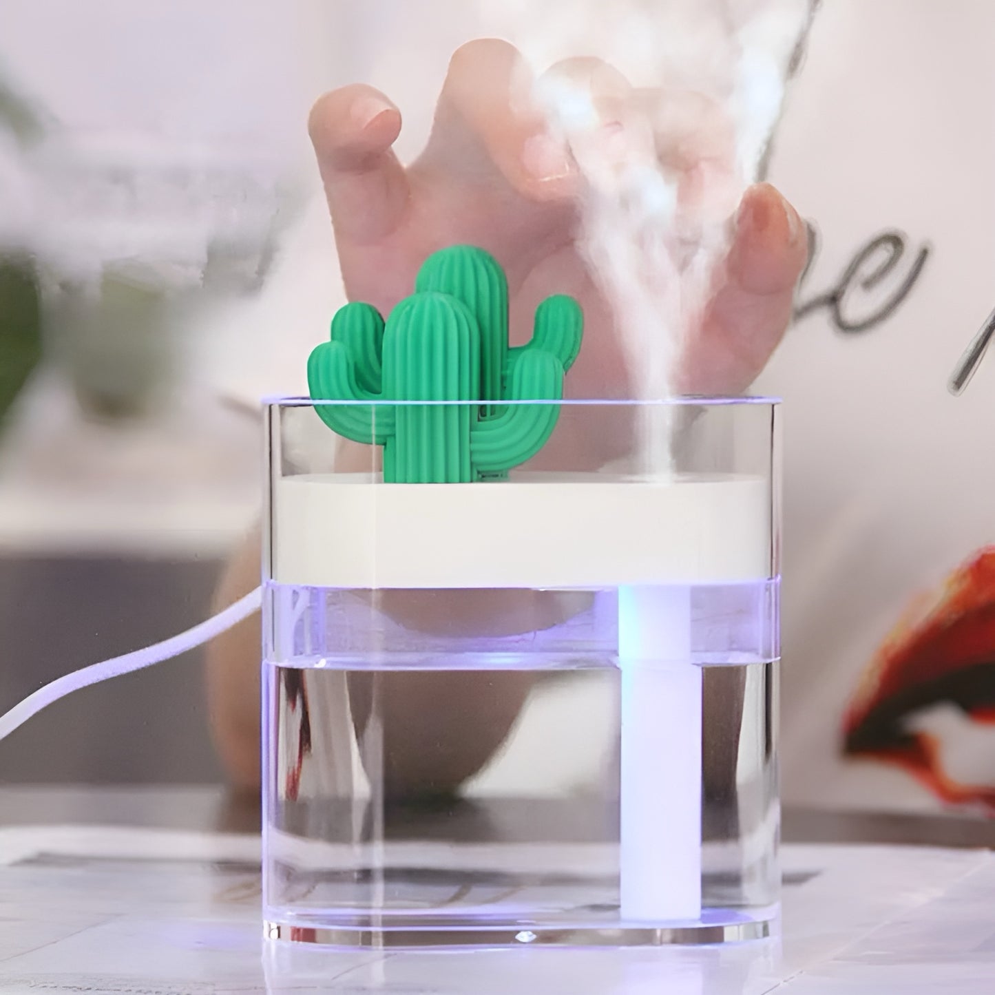 Cactus Humidifier