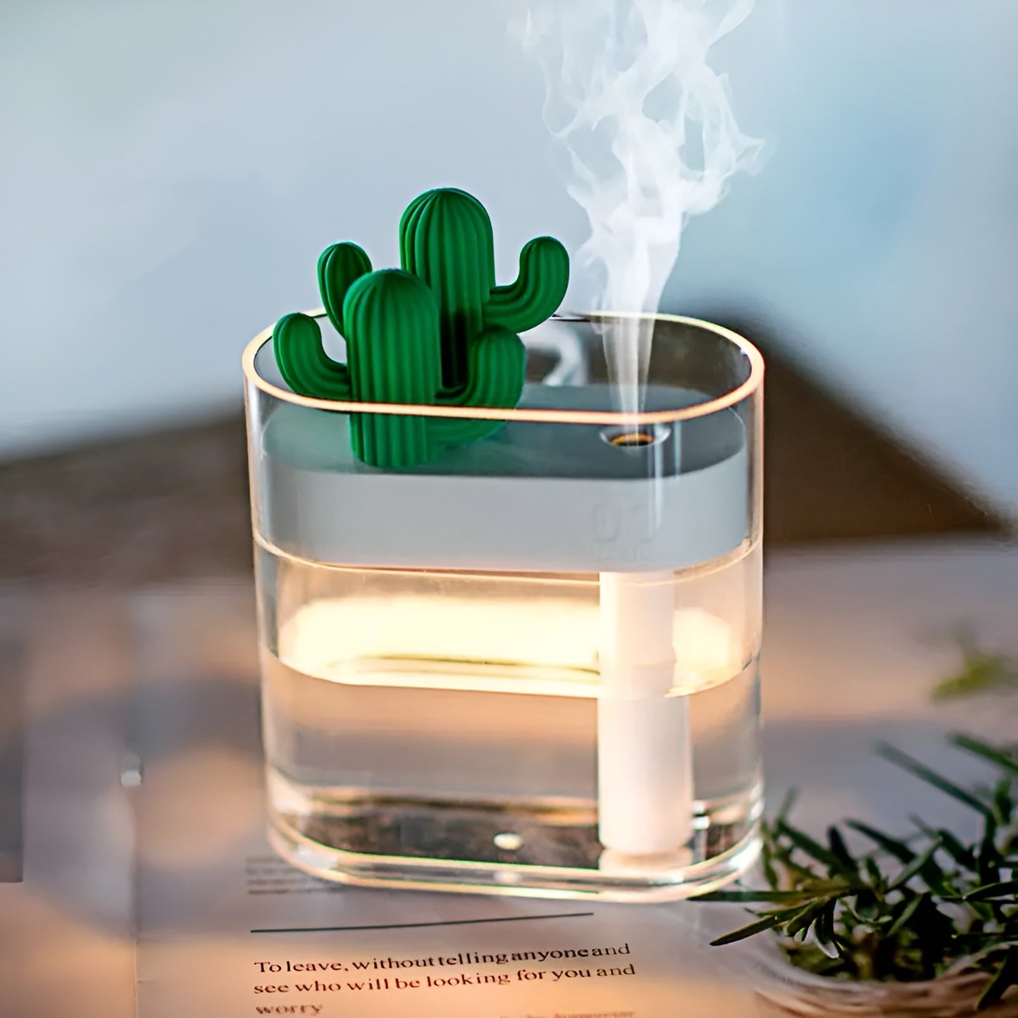 Cactus Humidifier