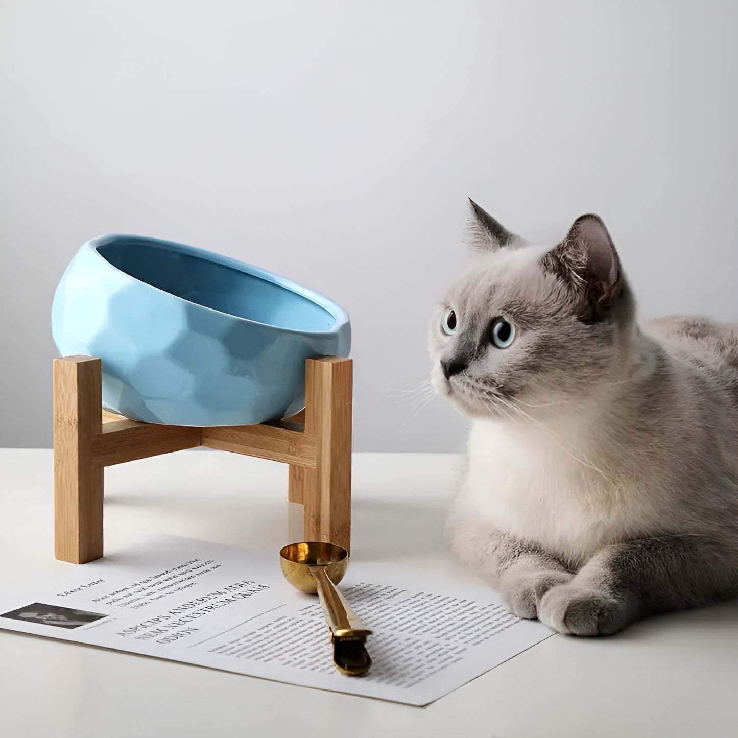 Purr-fect Animal Bowl