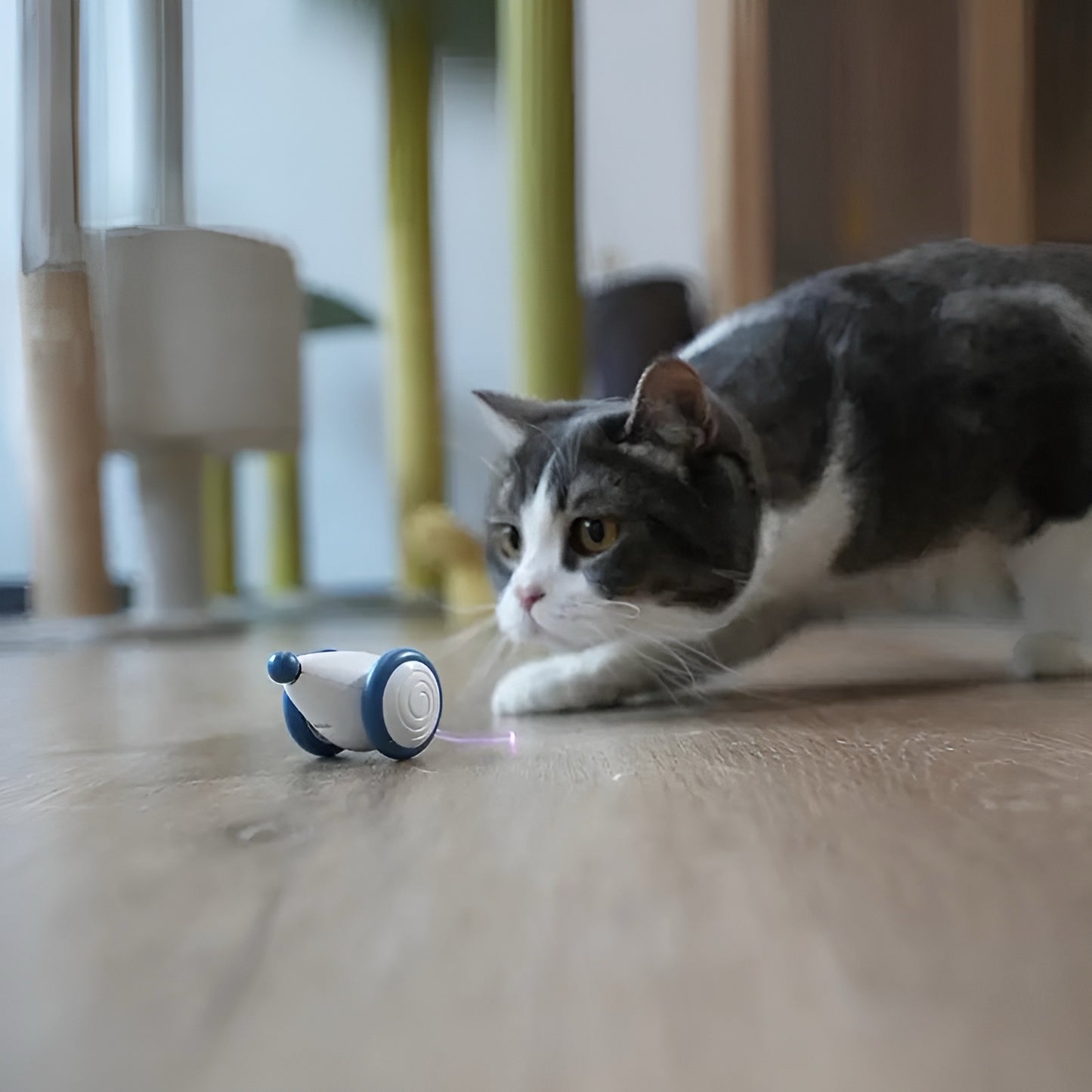 Smart Mouse Cat Toy