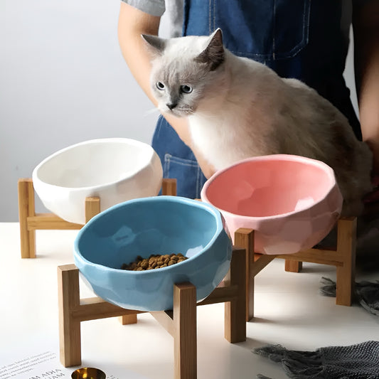 Purr-fect Animal Bowl