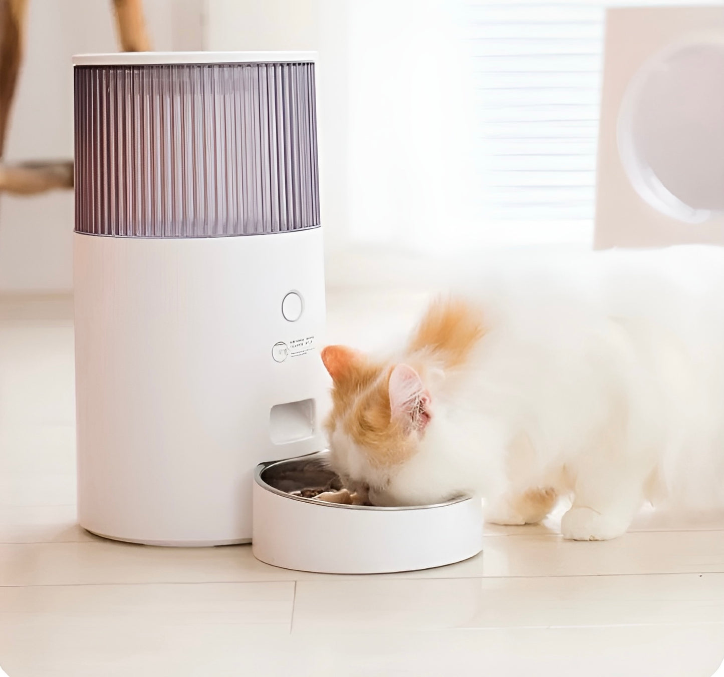 2.5L WiFi Smart Automatic Pet Feeder